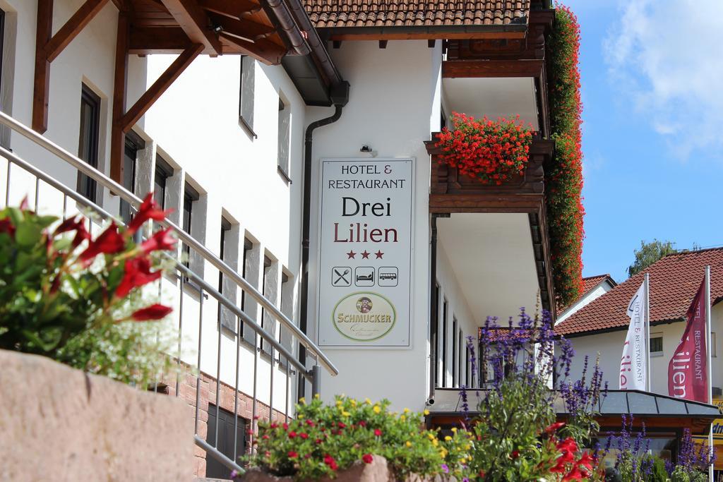 Hotel Drei Lilien Waldbrunn  Exterior foto