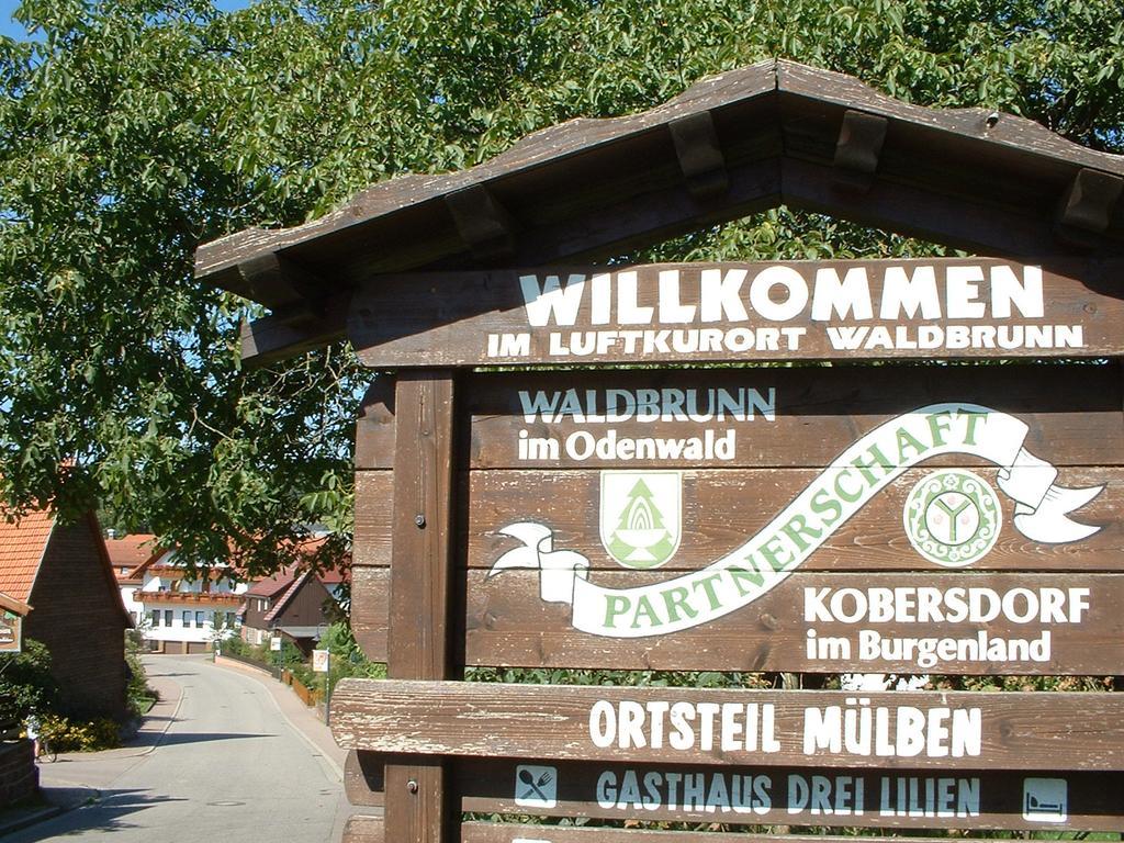 Hotel Drei Lilien Waldbrunn  Exterior foto